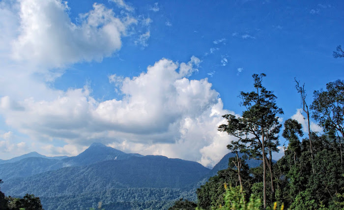 gua musang, felda aring, kuala berang