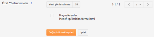 Özel Yönlendirme