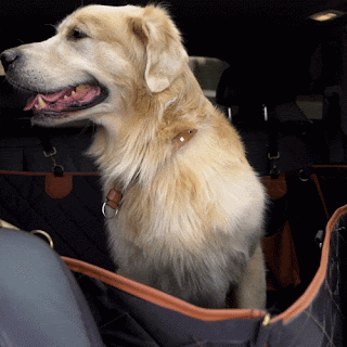 Car Dog Hammock “Travel Buddy Mk. II” Owleys