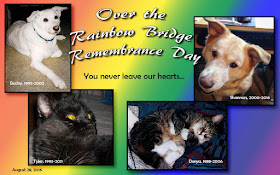 Over the Rainbow Bridge Remembrance Graphic