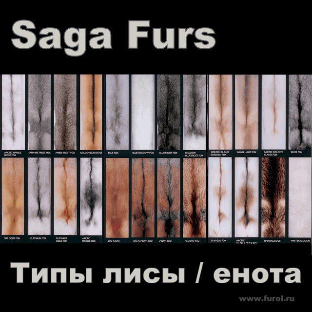 Все типы лисы, енота с Пушного аукциона Saga Furs