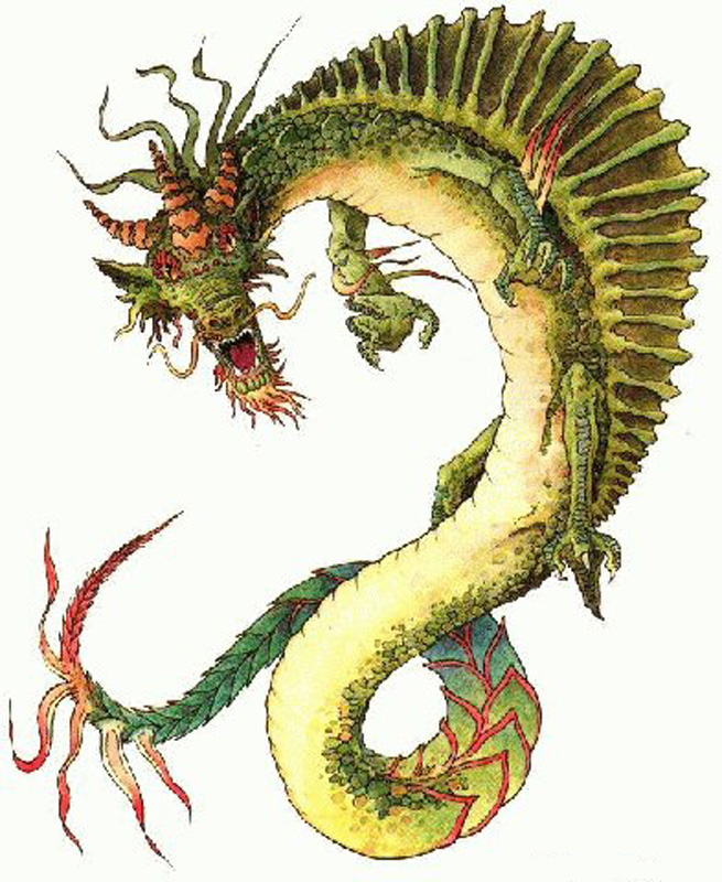 Chinese Dragon Photos