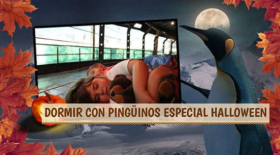 Halloween 2015 en Faunia. Una noche con los pingüinos