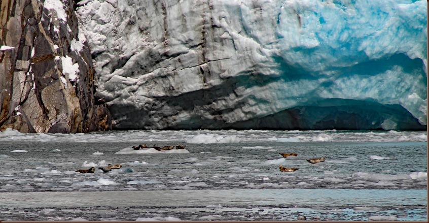 Seward AK135-22 Aug 2018