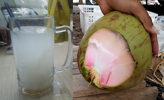 Khasiat air kelapa ijo wulung Penjelasan Air Kelapa Wulung sebagai obat batu ginjal, atau tentang bibit kelapa wulung lebih lengkap silahkan baca artikel-artikel yang juga saya tulis di blog ini. Kami juga jual bibit kelapa hijau wulung untuk sedia tanam 