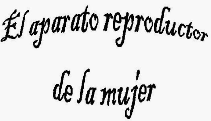 http://cplosangeles.juntaextremadura.net/web/edilim/tercer_ciclo/cmedio/las_funciones_vitales/la_funcion_de_reproduccion/el_aparato_reproductor_de_la_mujer/el_aparato_reproductor_de_la_mujer.html