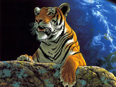 Tiger hd Wallpaper 22