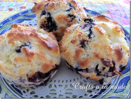 blueberry muffins 3