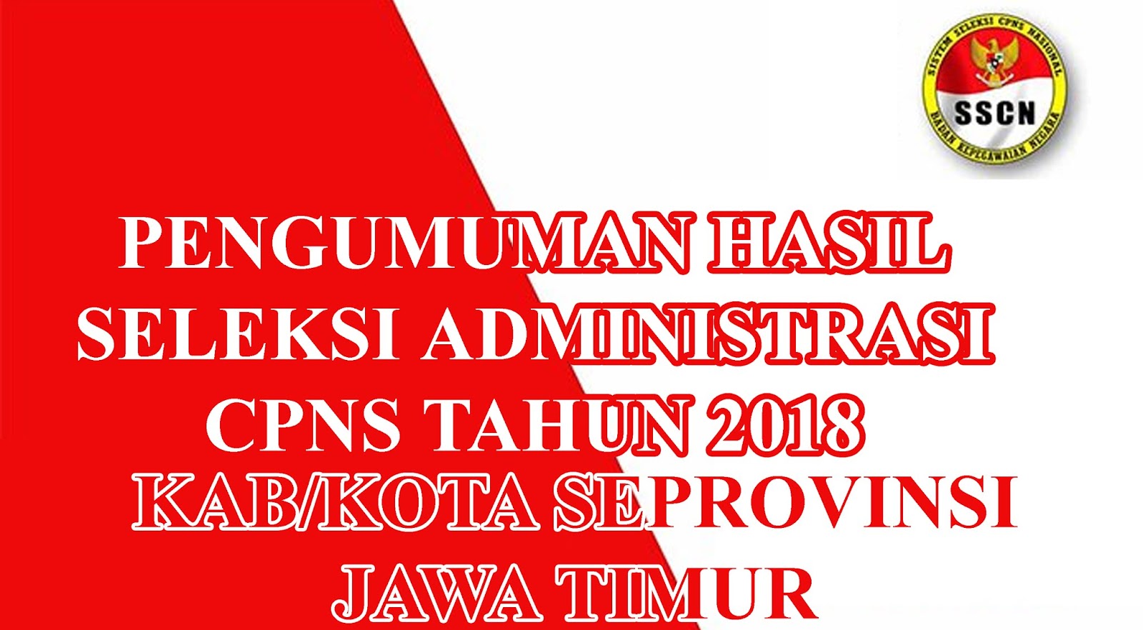 Pengumuman Seleksi Administrasi Cpns Kabkota Provinsi Jawa