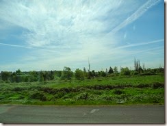 DSCN4245