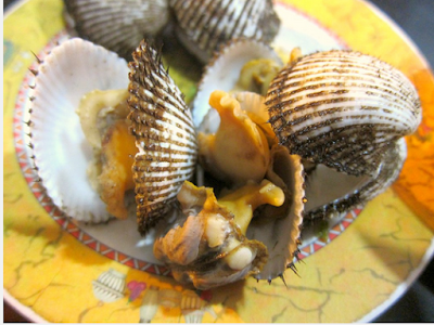  Kerang rebus