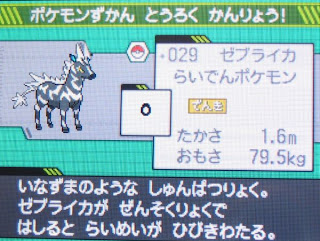 Zeburaika, the Godzilla Zebra Pokemon. (Godzebra?)