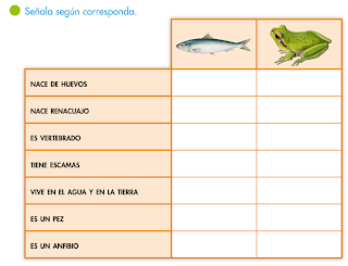 http://primerodecarlos.com/SEGUNDO_PRIMARIA/tengo_todo_4/root_globalizado4/libro/6169/ISBN_9788467808803/activity/U05_179_02_AI/visor.swf