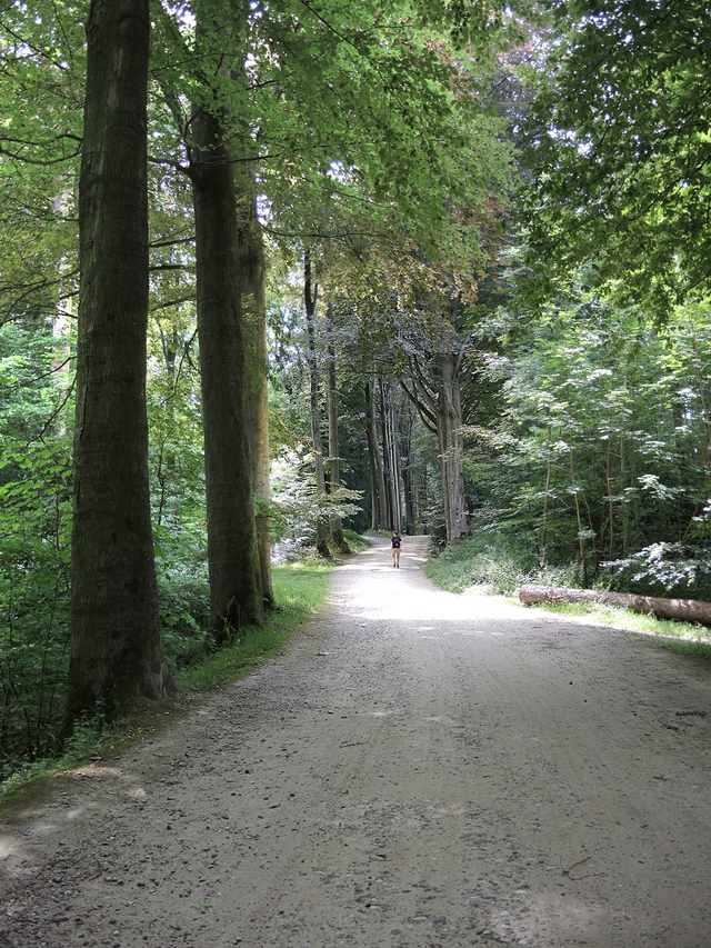 De Koninklijke wandeling in Tervuren