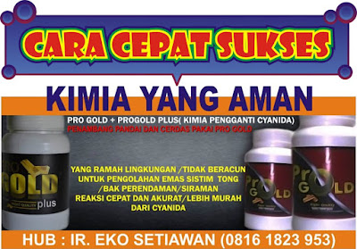 PROGOLD DAN PROGOLD PLUS KIMIA PERENDAMAN DAN TONG