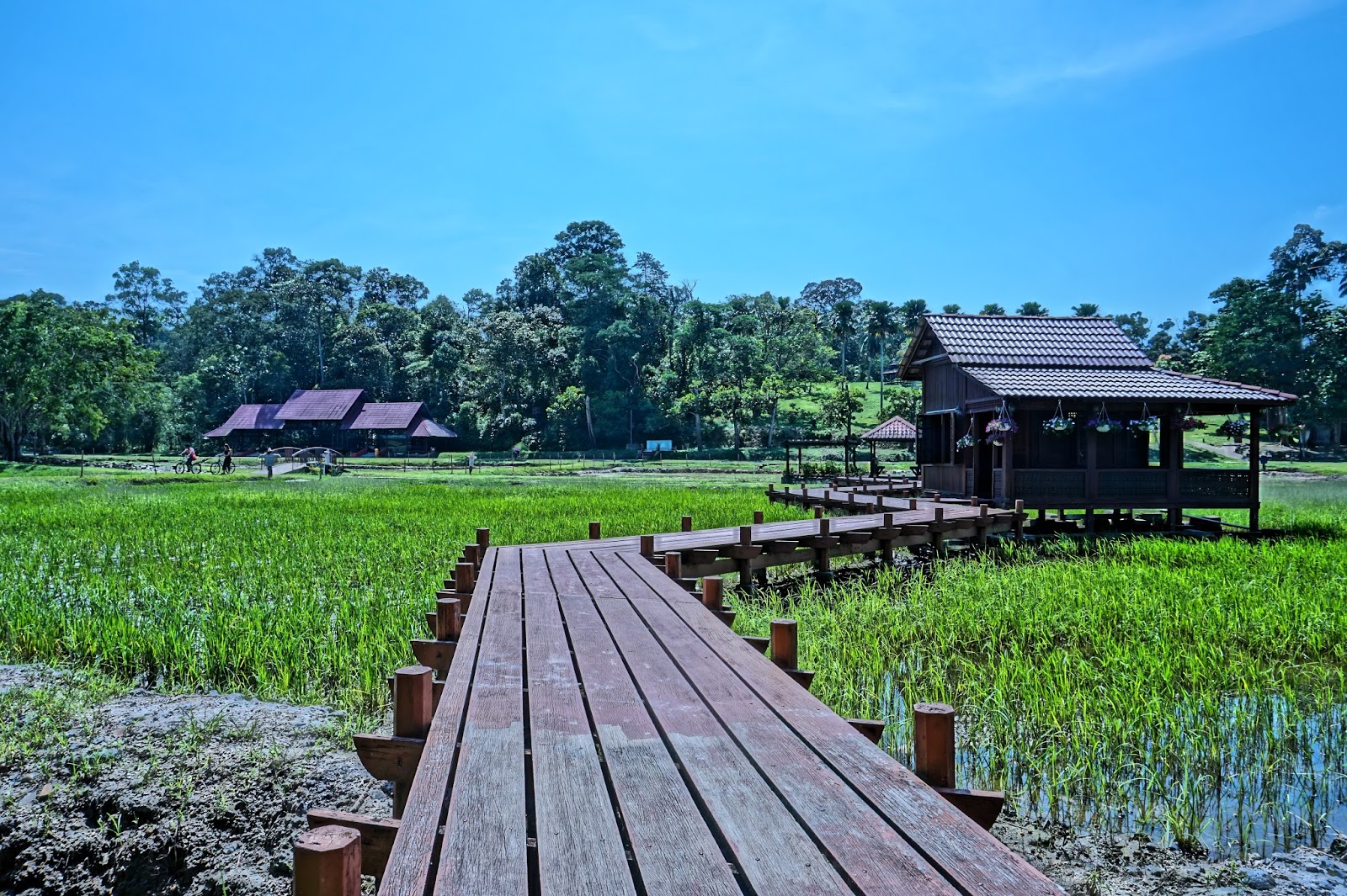 Botanic Garden / Bukit Cerakah, Seksyen 8, Shah Alam ...