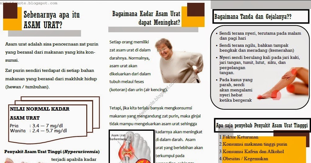 Kumpulan Materi Kebidanan: Leaflet Asam Urat