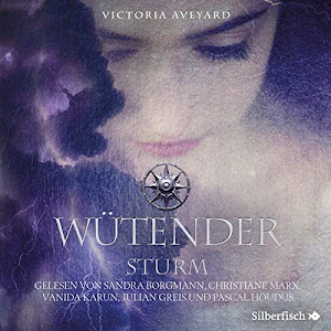 Wütender Sturm (Die Farben des Blutes 4): 3 CDs