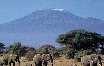 Kilimanjaro Safari Holiday