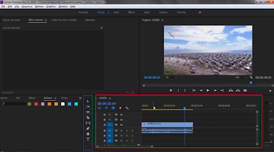 Adobe Premiere Indonesia, adobe premiere pro indonesia, Adobe Premiere Pro CC 2018