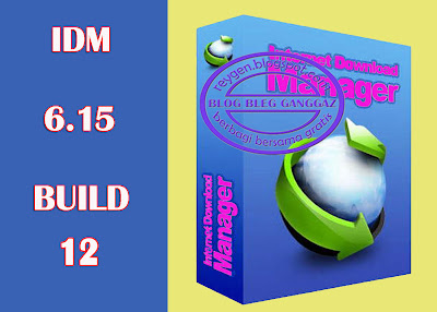 Internet Download Manager (IDM) 6.15 Build 12