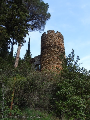 Pyrénées-Orientales