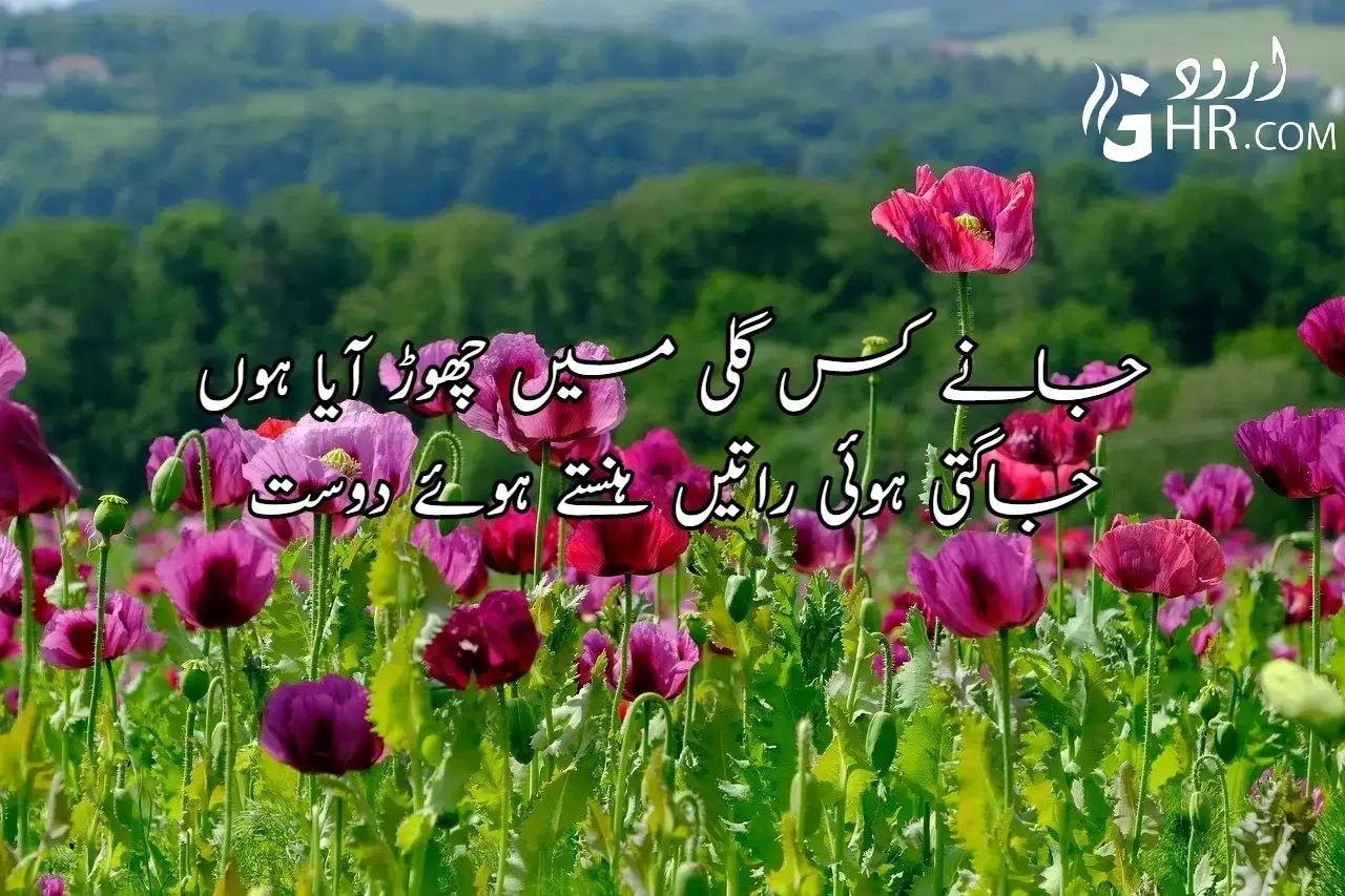 Best Friendship Poetry In Urdu Dosti Poetry In Urdu