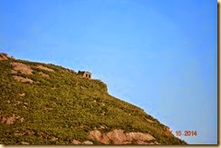 bunkers