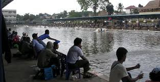 RAHASIA Orang Depok !!! Umpan Mancing Ikan Mas Super Jitu