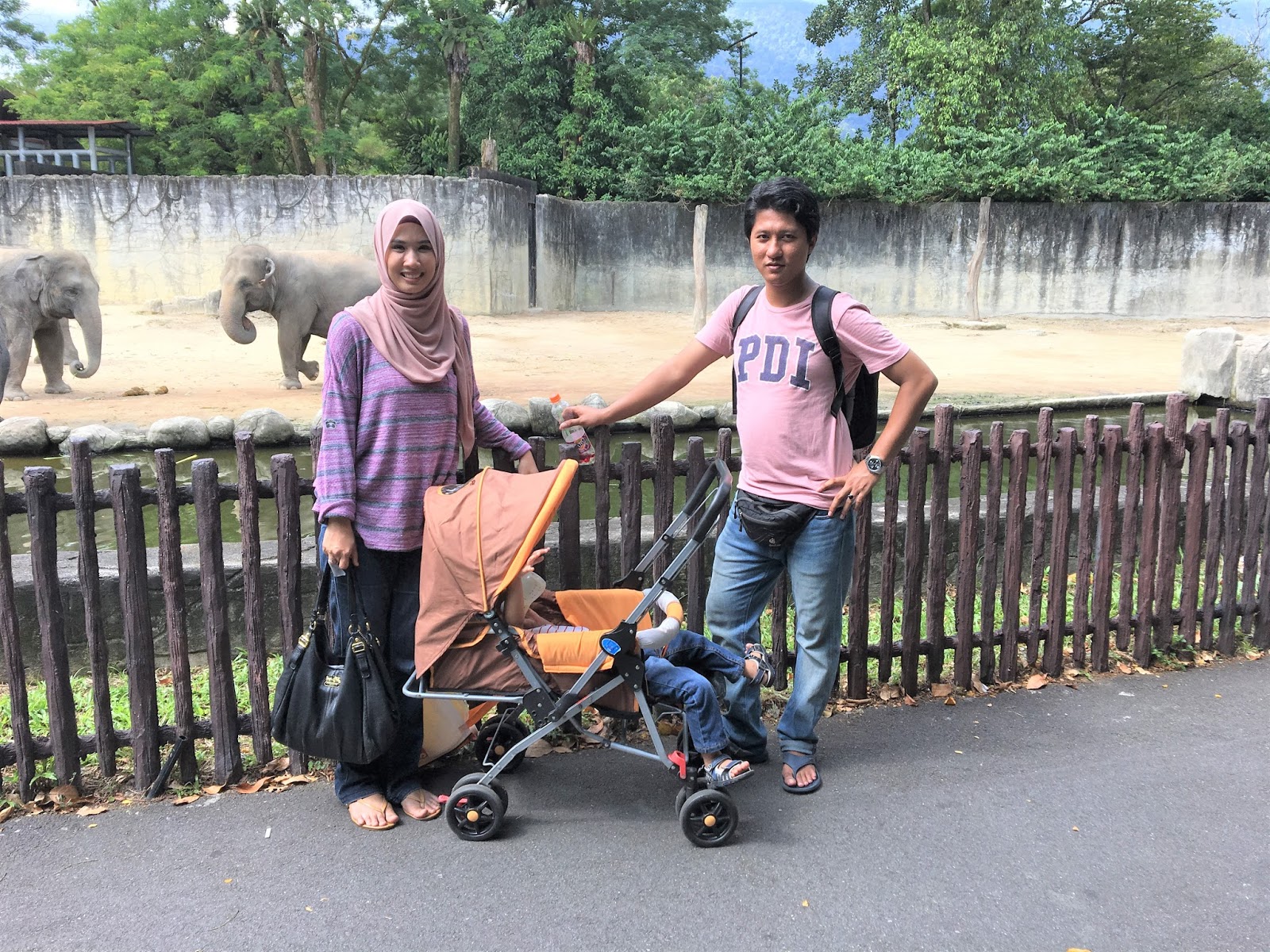 Wajib Pergi Zoo Taiping Tiap Kali Balik Raya Perak