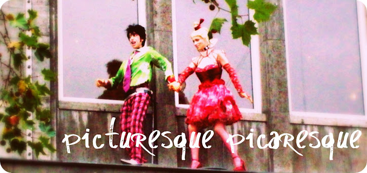 Picturesque Picaresque