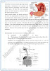 nutrition-review-question-answers-biology-9th