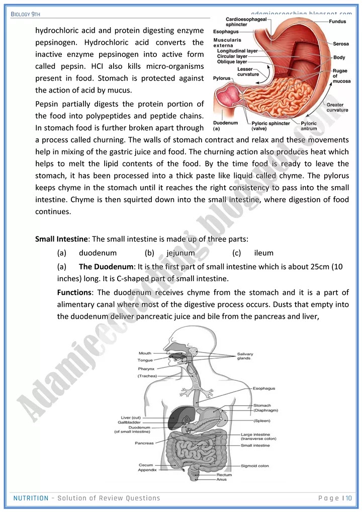 nutrition-review-question-answers-biology-9th