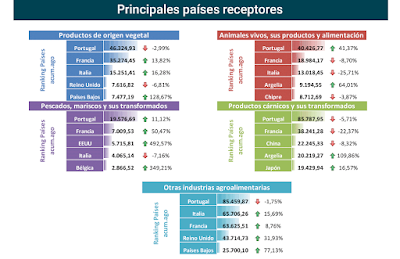 asesores económicos independientes 124-10 Javier Méndez Lirón