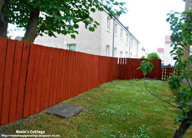 Garden fence replacement project: The fencing at the side of the garden has been completely re-built and painted.