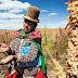 Bolivia cerrará el Año Internacional de la Quinua el 14 de diciembre en Oruro