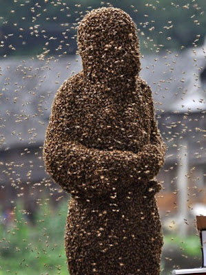 man covered in bees