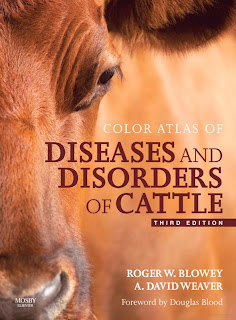 Color Atlas of Diseases and Disorders of Cattle 3rd Edition PDF