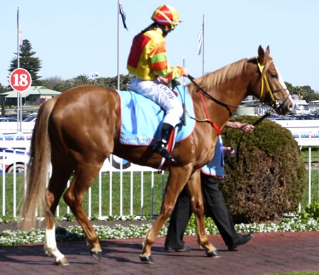 race 4 _miracles _mounting yard 15