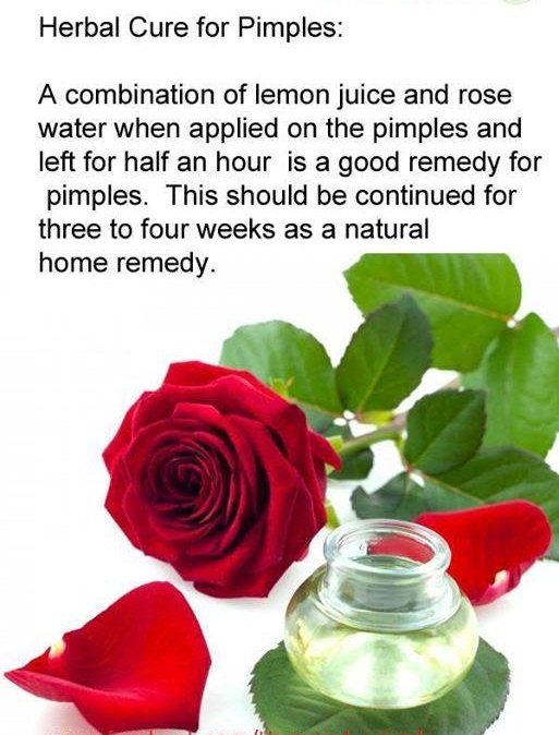 Herbal Cure For Pimples Best Quotes