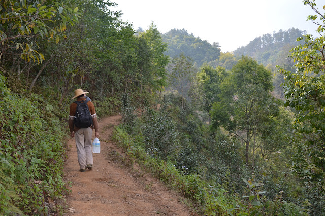 Oncle Shan, notre guide