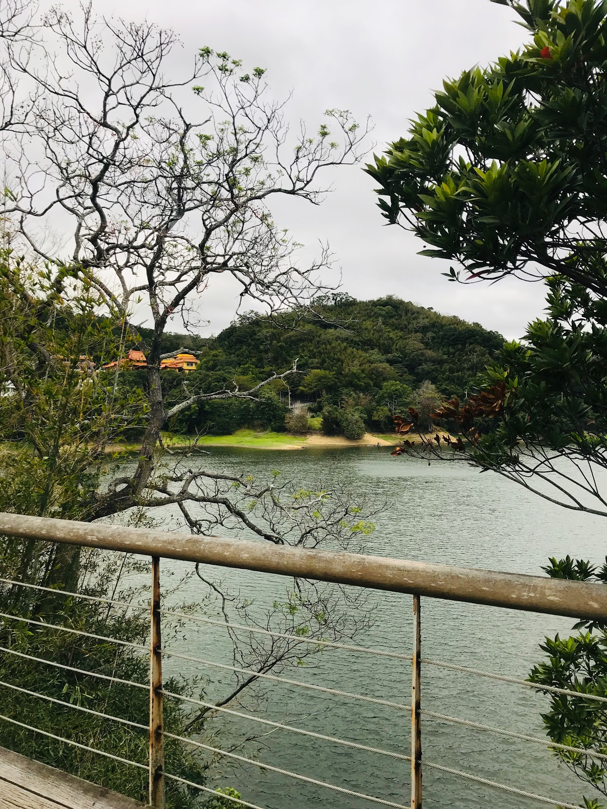 頭屋景點 明德水庫．日新島