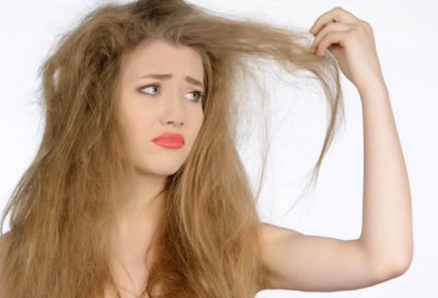 8 Cara  Mengatasi Rambut  Kering dengan Bahan Alami  