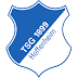 Daftar Pemain Skuad TSG 1899 Hoffenheim 2016/2017