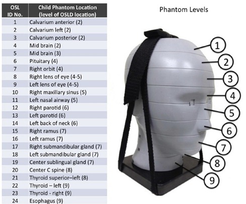 Phantom crianca