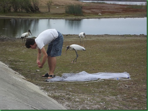 Saturday at Myakka 151