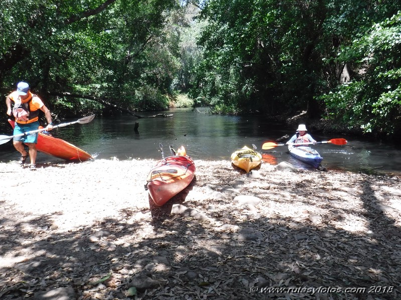 Kayak río Palmones