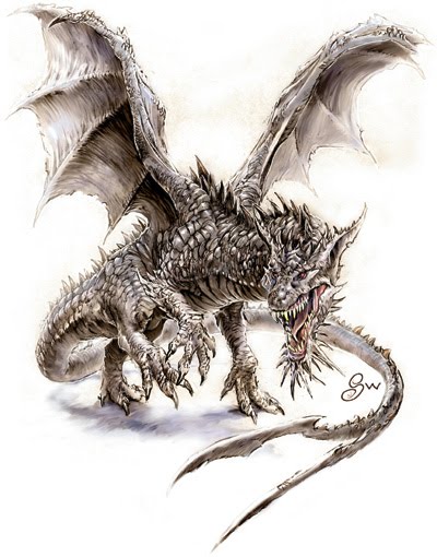 Today I am talking about Dragons These legendary creatures are typically