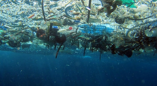 plastic trash in the water