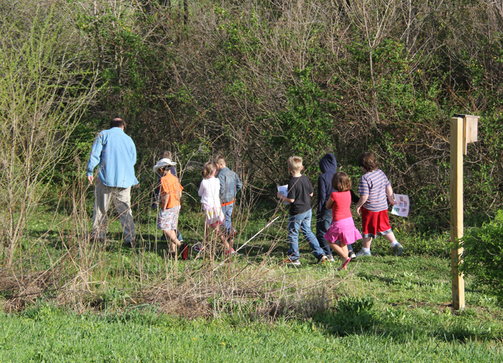 mourning dove nesting box plans